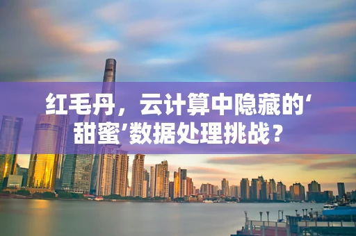 红毛丹，云计算中隐藏的‘甜蜜’数据处理挑战？