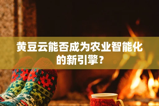 黄豆云能否成为农业智能化的新引擎？