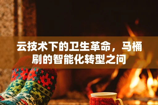 云技术下的卫生革命，马桶刷的智能化转型之问