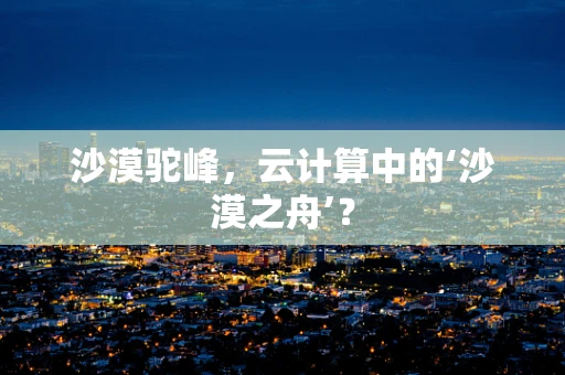 沙漠驼峰，云计算中的‘沙漠之舟’？