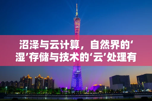 沼泽与云计算，自然界的‘湿’存储与技术的‘云’处理有何异曲同工之处？