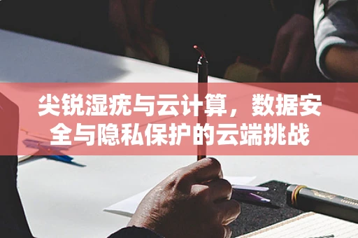 尖锐湿疣与云计算，数据安全与隐私保护的云端挑战