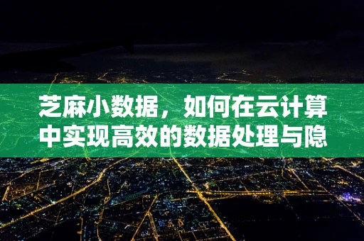 芝麻小数据，如何在云计算中实现高效的数据处理与隐私保护？