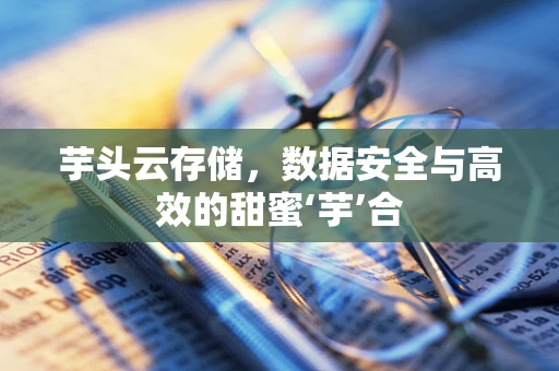 芋头云存储，数据安全与高效的甜蜜‘芋’合