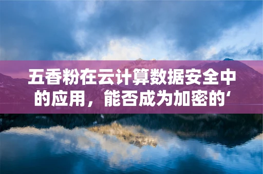 五香粉在云计算数据安全中的应用，能否成为加密的‘秘密武器’？