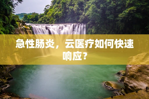 急性肠炎，云医疗如何快速响应？