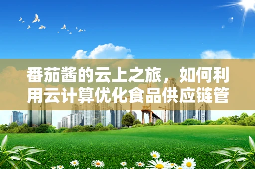 番茄酱的云上之旅，如何利用云计算优化食品供应链管理？