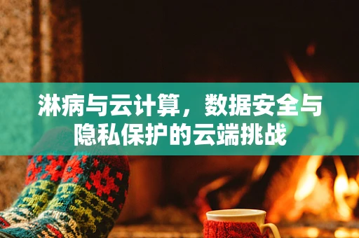 淋病与云计算，数据安全与隐私保护的云端挑战