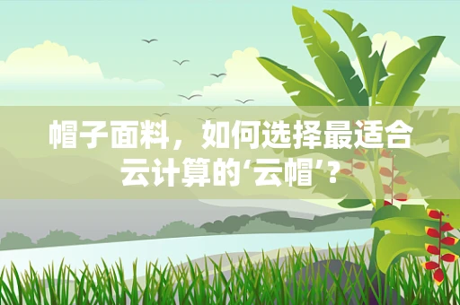 帽子面料，如何选择最适合云计算的‘云帽’？