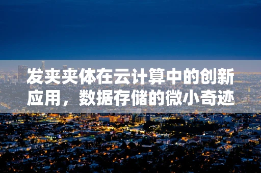 发夹夹体在云计算中的创新应用，数据存储的微小奇迹？