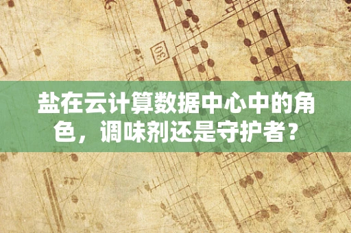 盐在云计算数据中心中的角色，调味剂还是守护者？