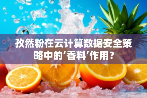 孜然粉在云计算数据安全策略中的‘香料’作用？