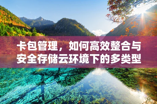 卡包管理，如何高效整合与安全存储云环境下的多类型数字卡证？