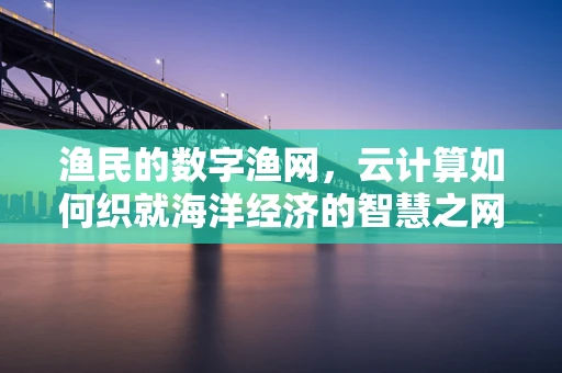 渔民的数字渔网，云计算如何织就海洋经济的智慧之网？