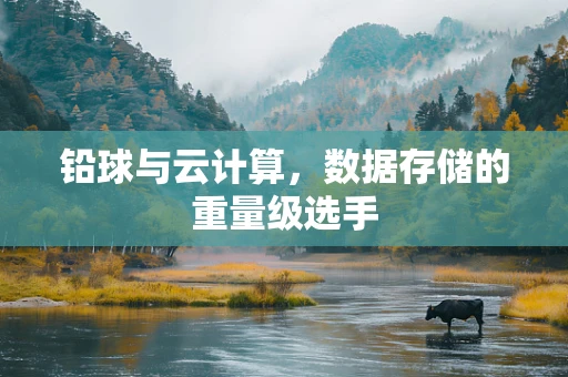 铅球与云计算，数据存储的重量级选手