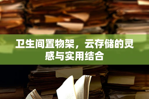 卫生间置物架，云存储的灵感与实用结合