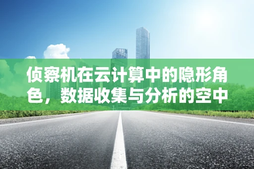 侦察机在云计算中的隐形角色，数据收集与分析的空中之眼