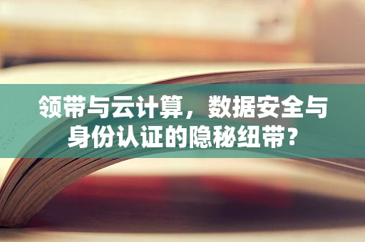 领带与云计算，数据安全与身份认证的隐秘纽带？