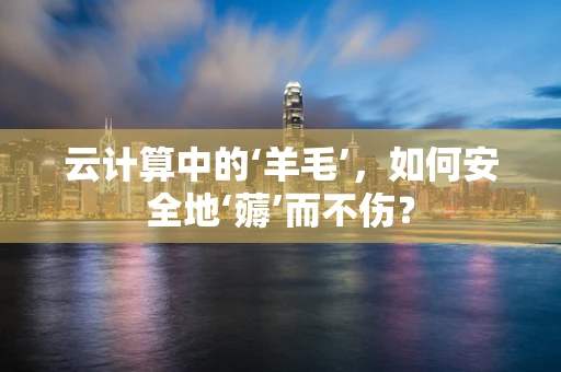 云计算中的‘羊毛’，如何安全地‘薅’而不伤？