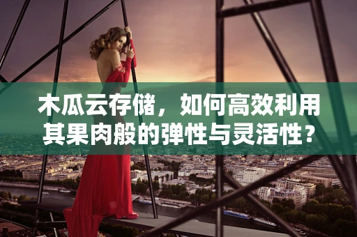 木瓜云存储，如何高效利用其果肉般的弹性与灵活性？