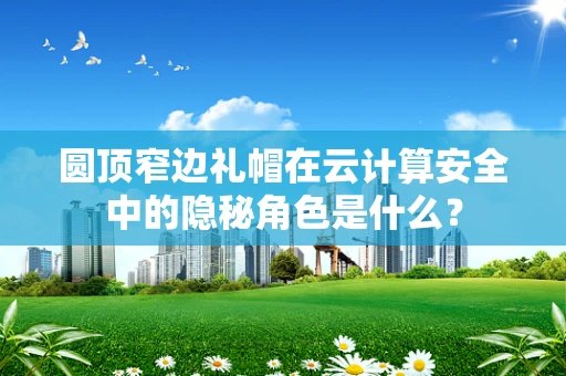圆顶窄边礼帽在云计算安全中的隐秘角色是什么？