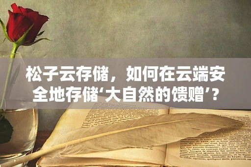 松子云存储，如何在云端安全地存储‘大自然的馈赠’？