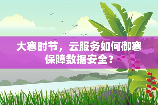 大寒时节，云服务如何御寒保障数据安全？