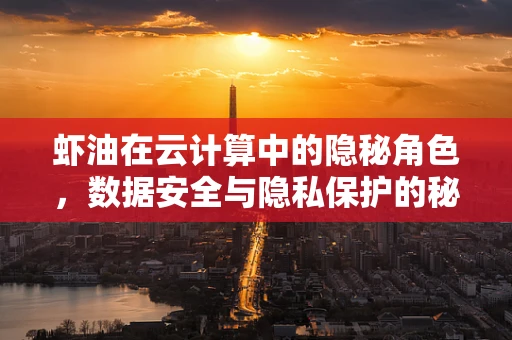 虾油在云计算中的隐秘角色，数据安全与隐私保护的秘密武器？