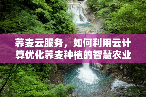 荞麦云服务，如何利用云计算优化荞麦种植的智慧农业新模式？