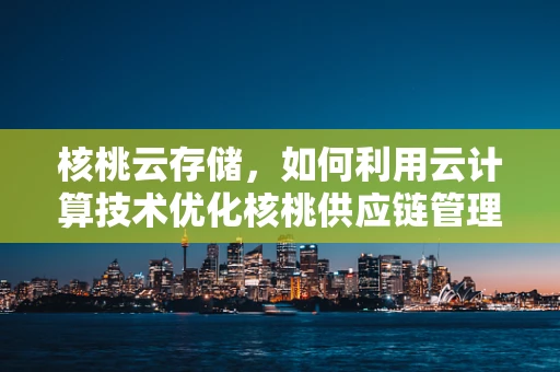 核桃云存储，如何利用云计算技术优化核桃供应链管理？