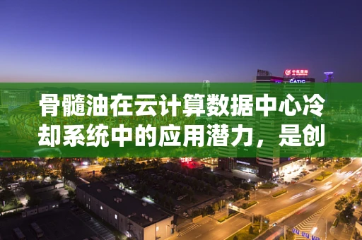 骨髓油在云计算数据中心冷却系统中的应用潜力，是创新还是误区？