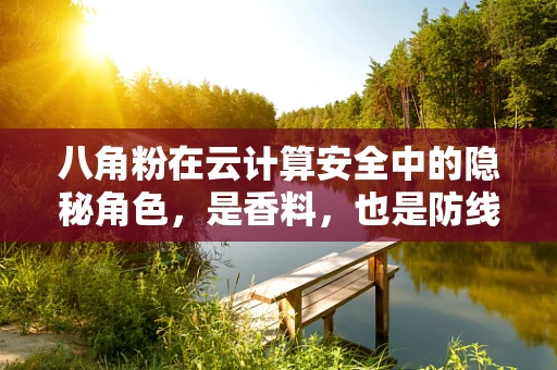 八角粉在云计算安全中的隐秘角色，是香料，也是防线？