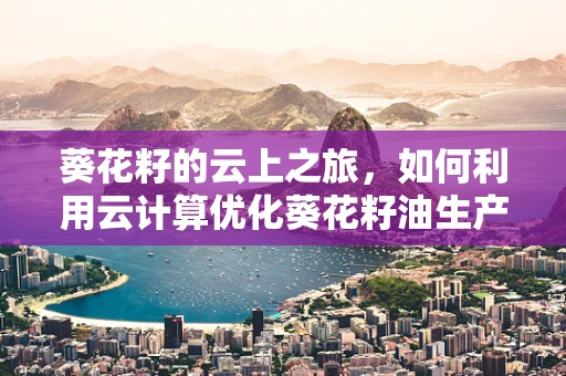 葵花籽的云上之旅，如何利用云计算优化葵花籽油生产与供应链管理？