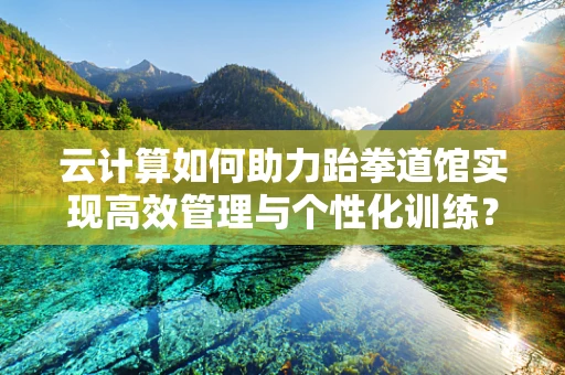 云计算如何助力跆拳道馆实现高效管理与个性化训练？