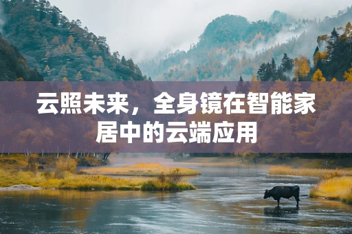 云照未来，全身镜在智能家居中的云端应用
