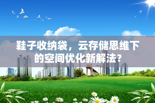 鞋子收纳袋，云存储思维下的空间优化新解法？