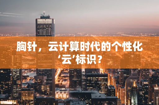 胸针，云计算时代的个性化‘云’标识？