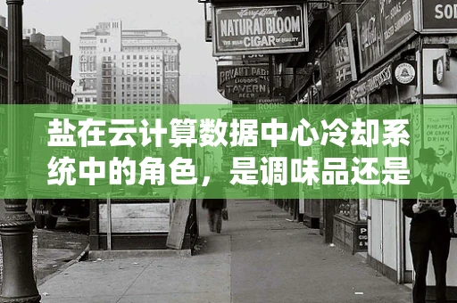 盐在云计算数据中心冷却系统中的角色，是调味品还是制冷剂？