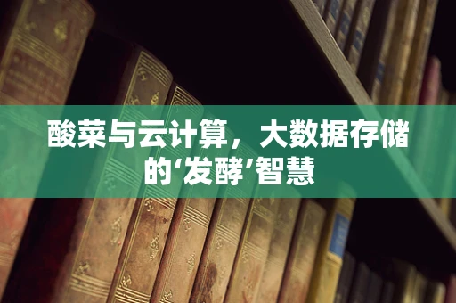 酸菜与云计算，大数据存储的‘发酵’智慧