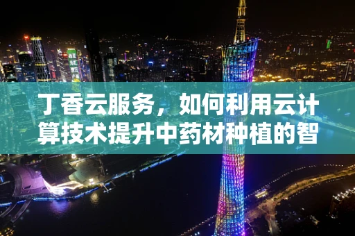 丁香云服务，如何利用云计算技术提升中药材种植的智慧化水平？
