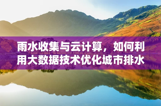 雨水收集与云计算，如何利用大数据技术优化城市排水系统？
