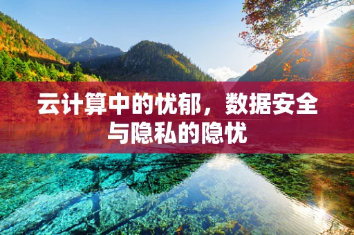 云计算中的忧郁，数据安全与隐私的隐忧