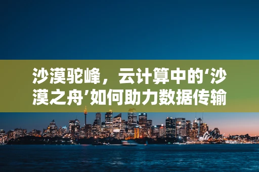 沙漠驼峰，云计算中的‘沙漠之舟’如何助力数据传输？