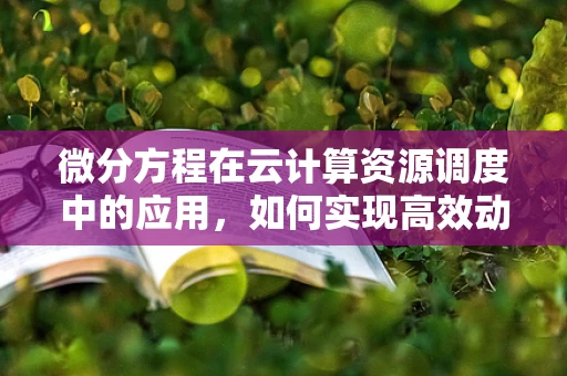 微分方程在云计算资源调度中的应用，如何实现高效动态调整？