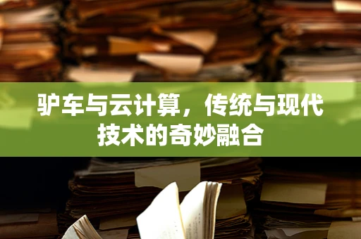 驴车与云计算，传统与现代技术的奇妙融合