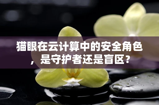 猫眼在云计算中的安全角色，是守护者还是盲区？