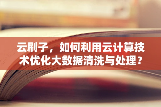 云刷子，如何利用云计算技术优化大数据清洗与处理？