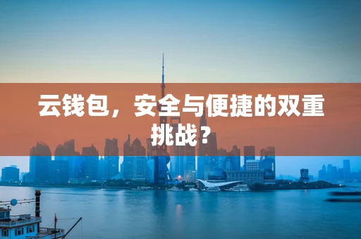 云钱包，安全与便捷的双重挑战？