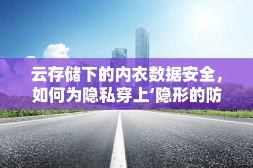 云存储下的内衣数据安全，如何为隐私穿上‘隐形的防护衣’？