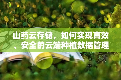山药云存储，如何实现高效、安全的云端种植数据管理？